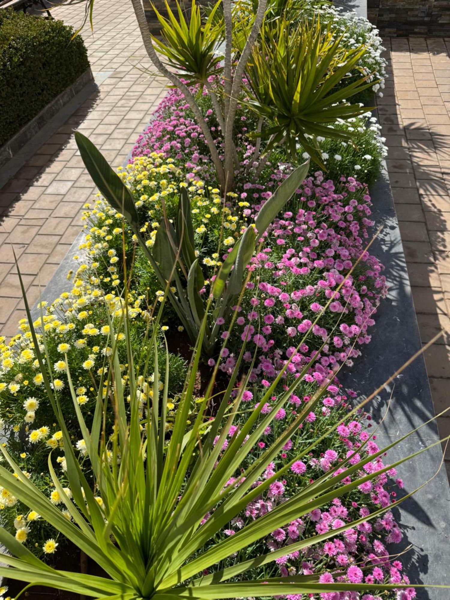 Appartement Luxueux Casa Nearshore Casablanca Kültér fotó